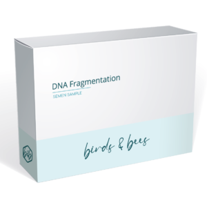 DNA Fragmentation